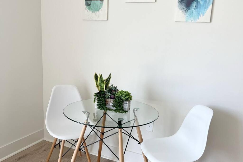 Studio Apartment, Queen Bed, Wifi, Kitchen, Washer & Dryer In שרלוט מראה חיצוני תמונה